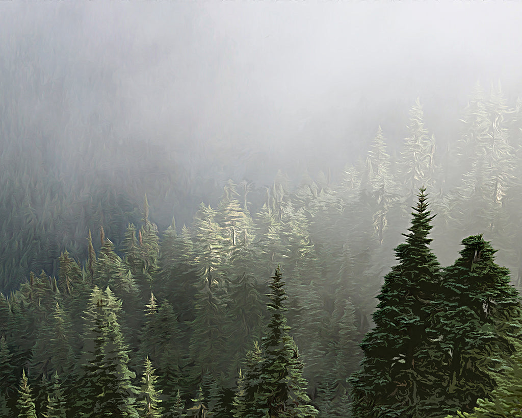 Misty Pines