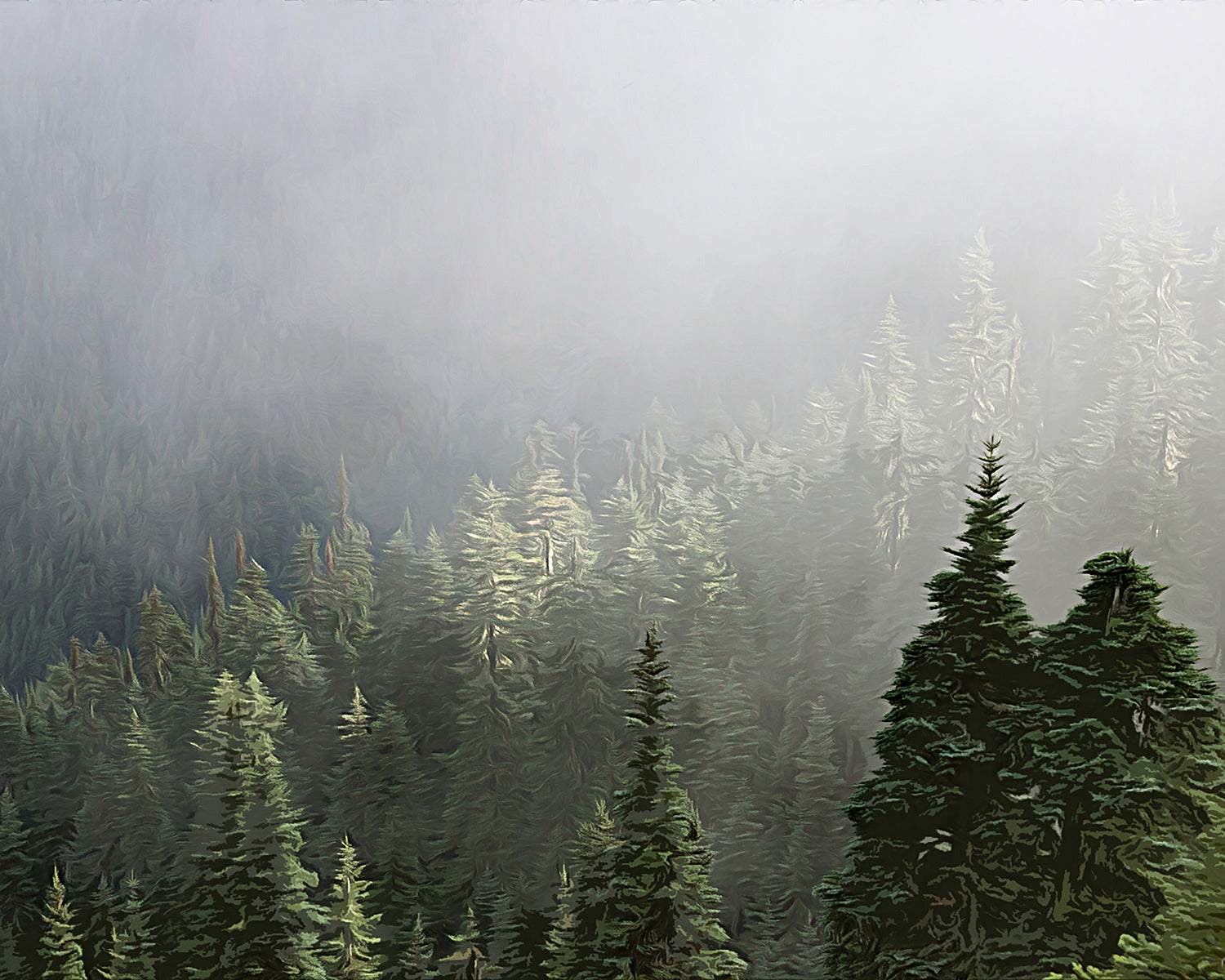 Misty Pines